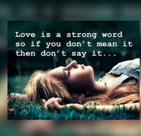 Love_is_a_strong_word_so_if_you_dont_mean_it_dont_say_it.JPG