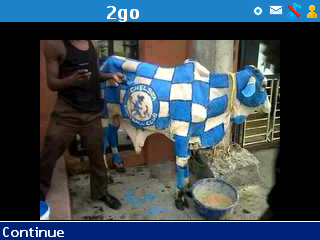 preview of Chelsea cow.png