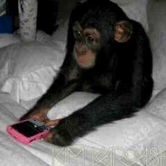 Monkey_with_blackberry.jpg