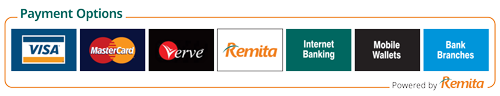 preview of Remita payment options.png