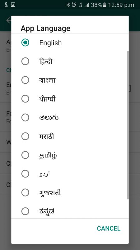 WhatsApp App Language