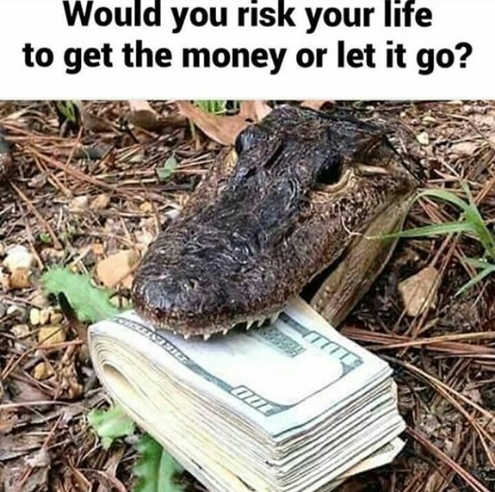 preview of Would you risk your life to get the money or let it go.jpg