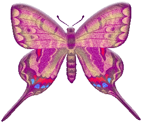 preview of butterflygraphic12.gif