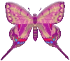 preview of butterflygraphic13.gif