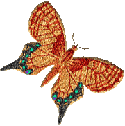 butterflygraphic3.gif