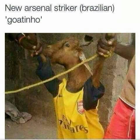 preview of New Arsenal striker Goatinho.jpg