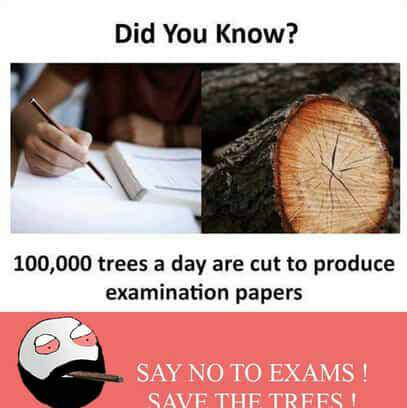preview of Say no to exam save the trees.jpg