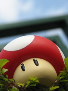 preview of Mushroom.jpg