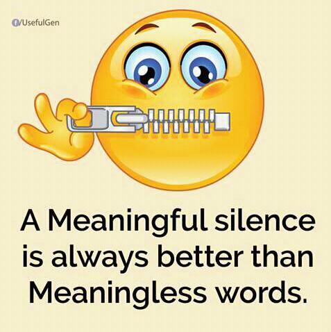 preview of A meaningful silence is better than meaningless words.jpg