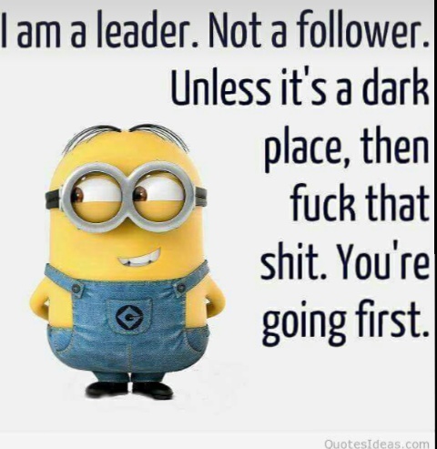 preview of I am a leader not a follower.JPG